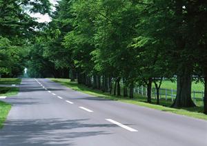 練馬区で初めてでも困らない車検