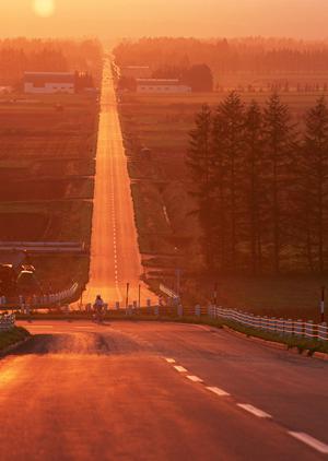 カスタムはハイラックスサーフの専門店